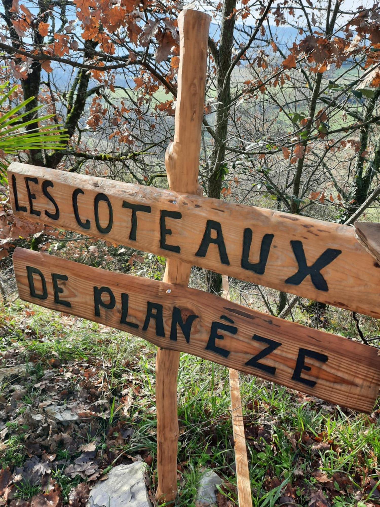 Les Coteaux De Planeze, Maison Et Jardin Dans Le Lot! Chambres Chez L'Habitant! Belmont-Bretenoux Eksteriør billede